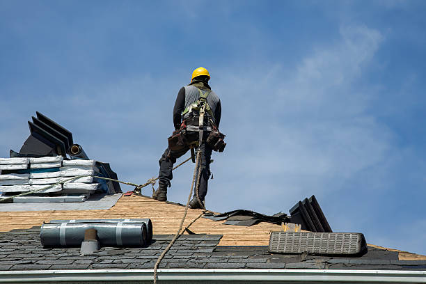 Professional Storm Damage Roof Repair technician working in Houghton, NY